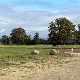 Start verkoop Hemmelhorst